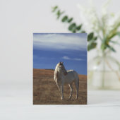 スタンディングホース ポストカード (スタンド正面)
