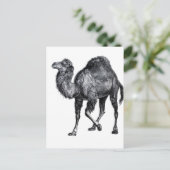スタンディングラクダ足ヴィンテージ動物スケッチ ポストカード (スタンド正面)