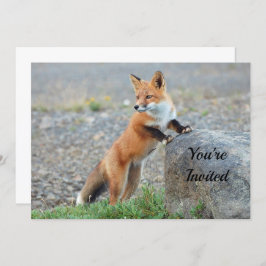 スタンディングレッドキツネ誕生日招待状 招待状