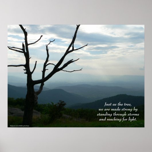 スタンディング/リーディングポスター ポスター (正面)