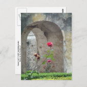 スタンドの高いポストカード ポストカード (正面/裏面)