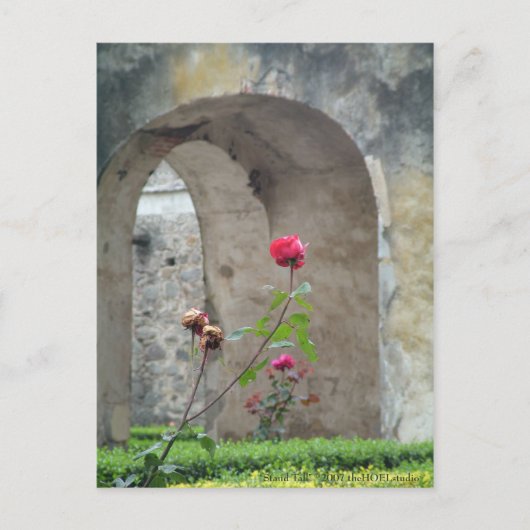 スタンドの高いポストカード ポストカード (正面)