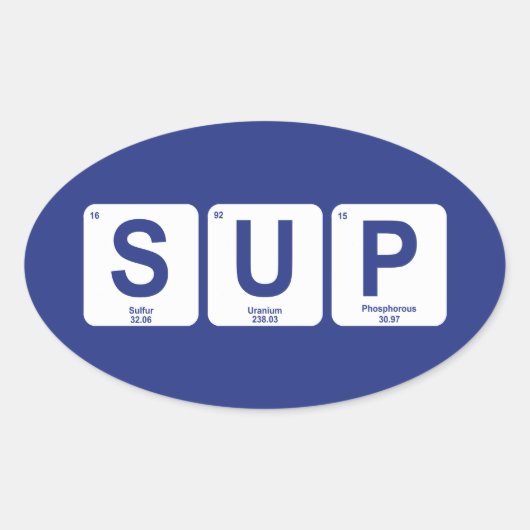 スタンドアップパドルボーディング 楕円形シール (正面)