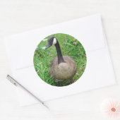 スタンドカナダグースステッカー ラウンドシール (封筒)