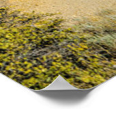 スタンドサボテン ポスター (角)