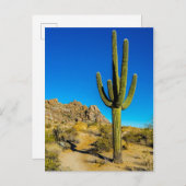 スタンドサボテン ポストカード (正面/裏面)