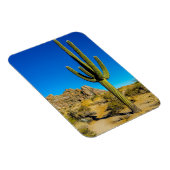 スタンドサボテン マグネット (右側)