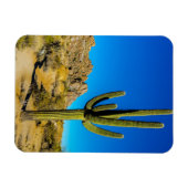 スタンドサボテン マグネット (横)