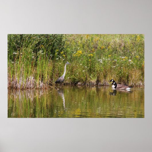 スタンドフ ポスター (正面)