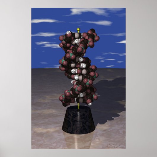 スタンド上のDNA ポスター (正面)