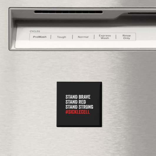 スタンド勇敢スタンドレッドスタンドストロング貧血病C マグネット (インサイチュ (食洗機))