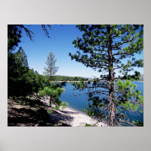 スタンピード貯水池 – タホー国有林 ポスター (正面)