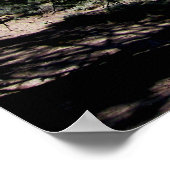 スタンピード貯水池 – タホー国有林 ポスター (角)