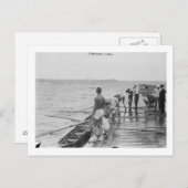 スタンフォードローイングクルーチーム写真 ポストカード (正面/裏面)