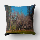 スタンフォード交差点…..... クッション (裏面)