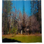 スタンフォード交差点…..... シャワーカーテン (正面)