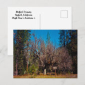 スタンフォード交差点….. ポストカード (正面/裏面)