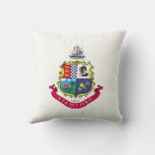 スタンフォード国旗（コネチカット） クッション (裏面)