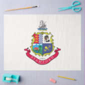 スタンフォード国旗（コネチカット） 薄葉紙 (クラフト)