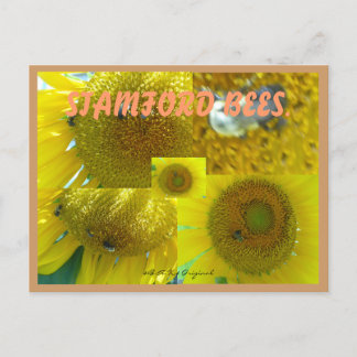 スタンフォードCTミツバチ ポストカード