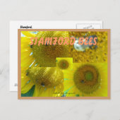 スタンフォードCTミツバチ ポストカード (正面/裏面)