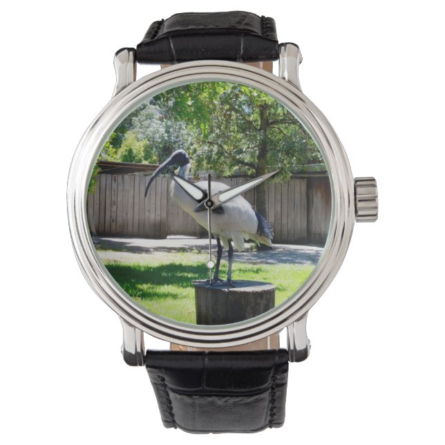 **「スタンプパーチ：ビン・チキンの休憩所」** 腕時計 (正面)