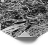 スタンプポンプ： 1913 ポスター (角)