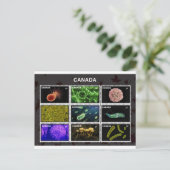 スタンプ ポストカード (スタンド正面)