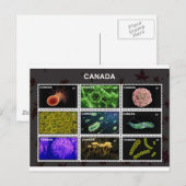 スタンプ ポストカード (正面/裏面)