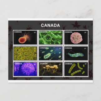 スタンプ ポストカード