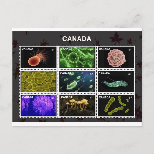 スタンプ ポストカード (正面)