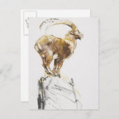 スタンベコドーロ2005 ポストカード (正面/裏面)