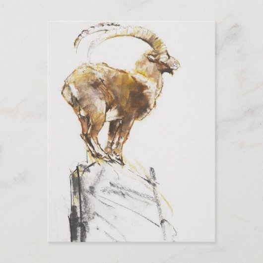 スタンベコドーロ2005 ポストカード (正面)