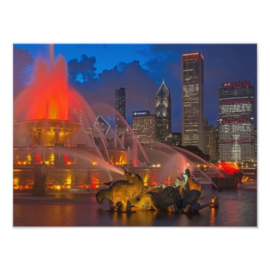 スタンリーが戻った！ フォトプリント            (正面)