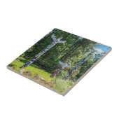 スタンリー公園のトーテムポール、バンクーバー、カナダ タイル (側面)