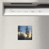 スタンリー公園、森、海洋層転が霧の中 マグネット (インサイチュ (食洗機))