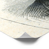 スタンリー卿が写真を撮った後 ポスター (角)