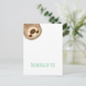 スタンリー考えるスロースの葉書 ポストカード (スタンド正面)