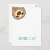 スタンリー考えるスロースの葉書 ポストカード (正面/裏面)