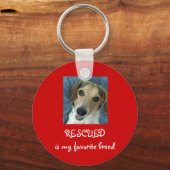 スタンリー・アーノルド・キーチェーン！ キーホルダー (正面)