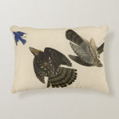 スタンリー(クーパーの)ホーク・オードボンのアメリカの鳥 アクセントクッション (正面)