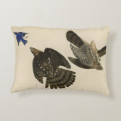 スタンリー(クーパーの)ホーク・オードボンのアメリカの鳥 アクセントクッション (裏面)