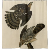 スタンリー（クーパーの）ホーク・オードボンのアメリカの鳥 シャワーカーテン (正面)