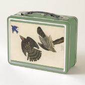 スタンリー(クーパーの)ホーク・オードボンのアメリカの鳥 メタルランチボックス (裏面)