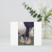 スタンリー ポストカード (スタンド正面)