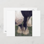 スタンリー ポストカード (正面/裏面)