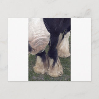 スタンリー ポストカード