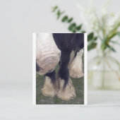 スタンリー ポストカード (スタンド正面)