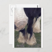 スタンリー ポストカード (正面/裏面)