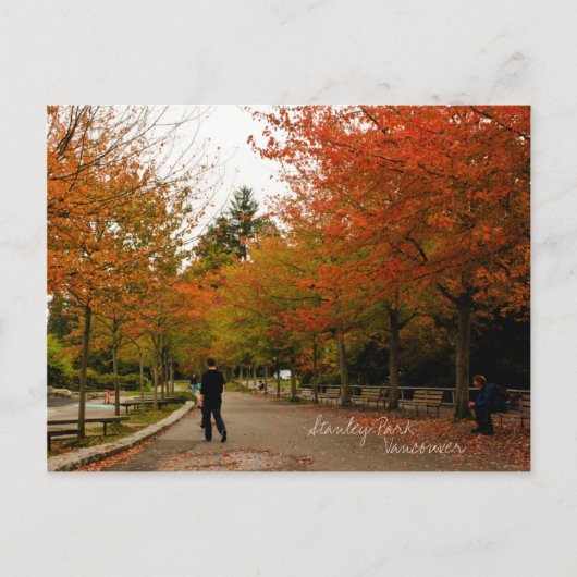 スタンレーパーク ポストカード (正面)